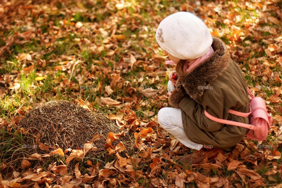 Little girl looks at an anthill in a park