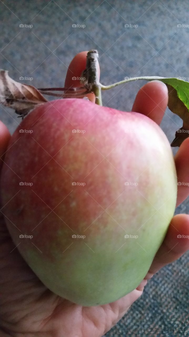 An Apple a Day.