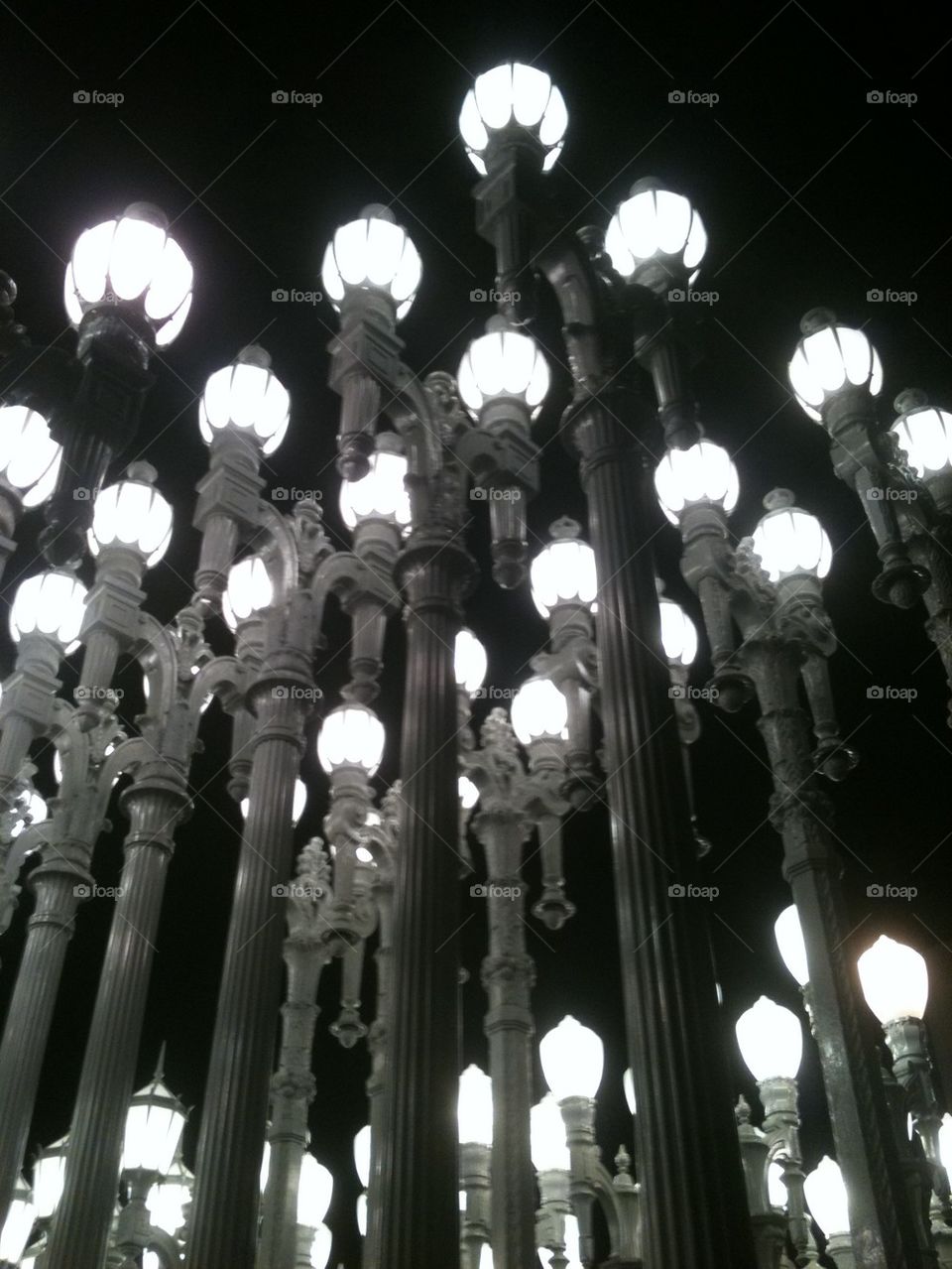 Lights 