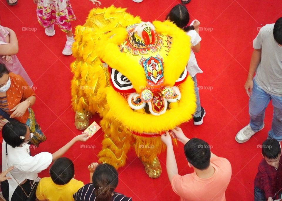 yellow  - lion dance