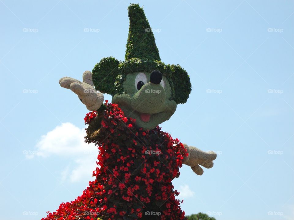 Organic Mickey Topiary. Mickey Mouse at Disney World during flower festival in 2012