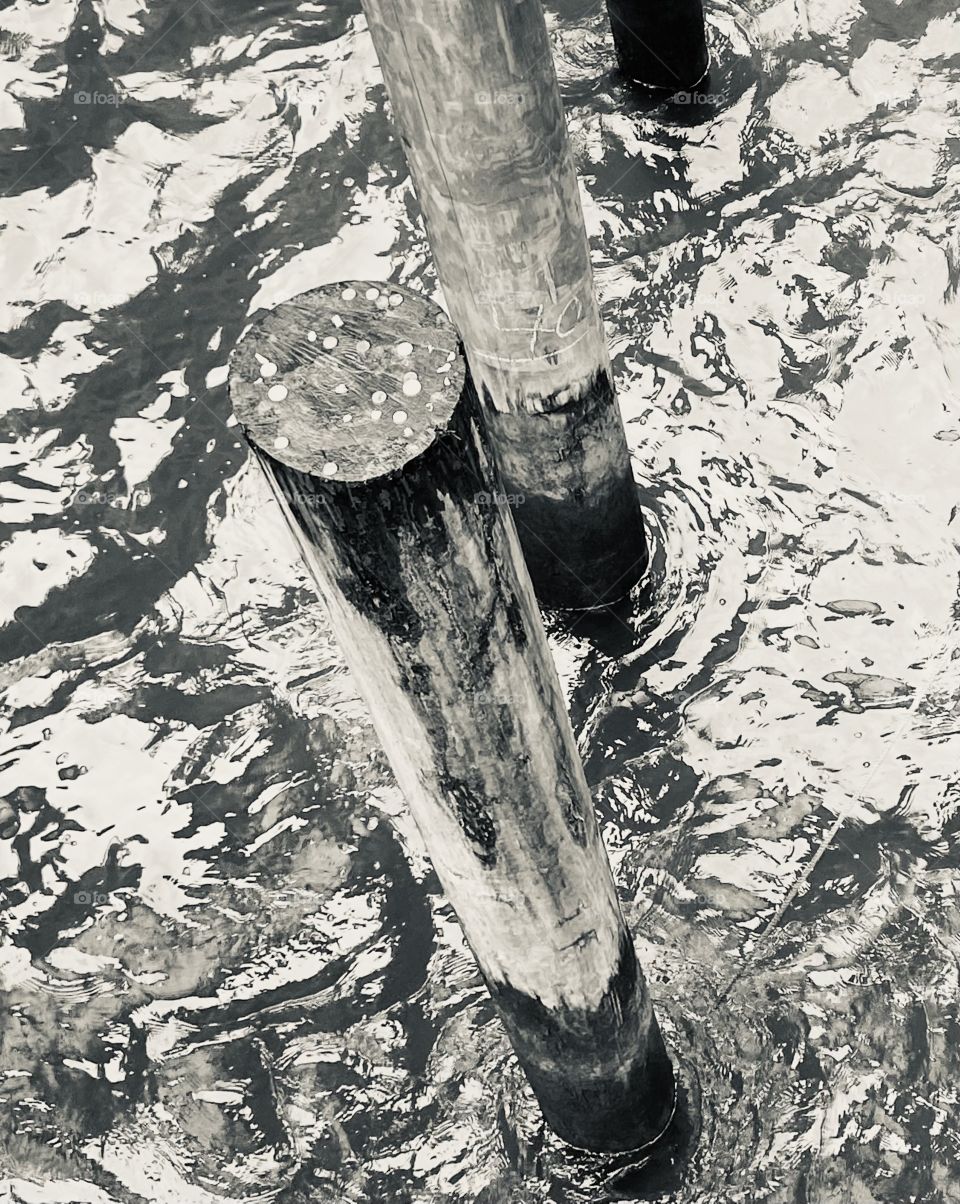 Coins left on top of a post in the East River, Brooklyn 