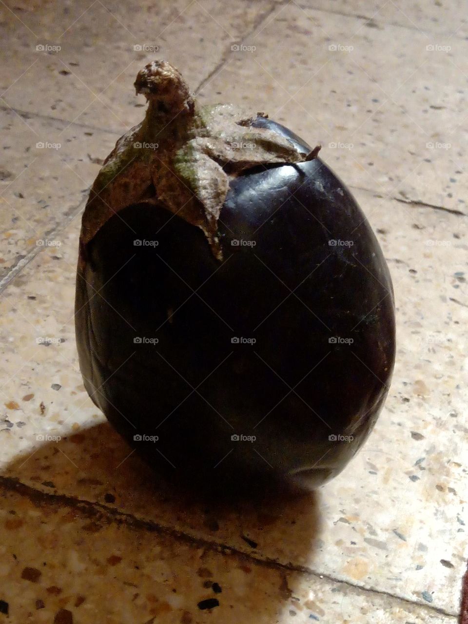 eggplant