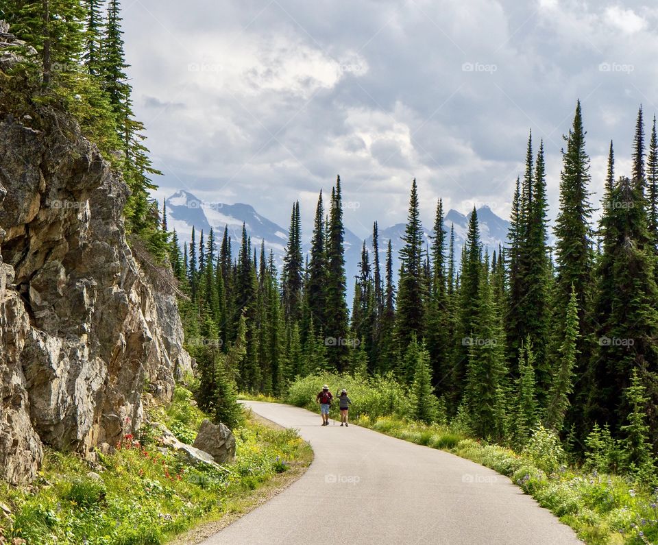 Hiking a scenic forest route in the mountains - summer fun