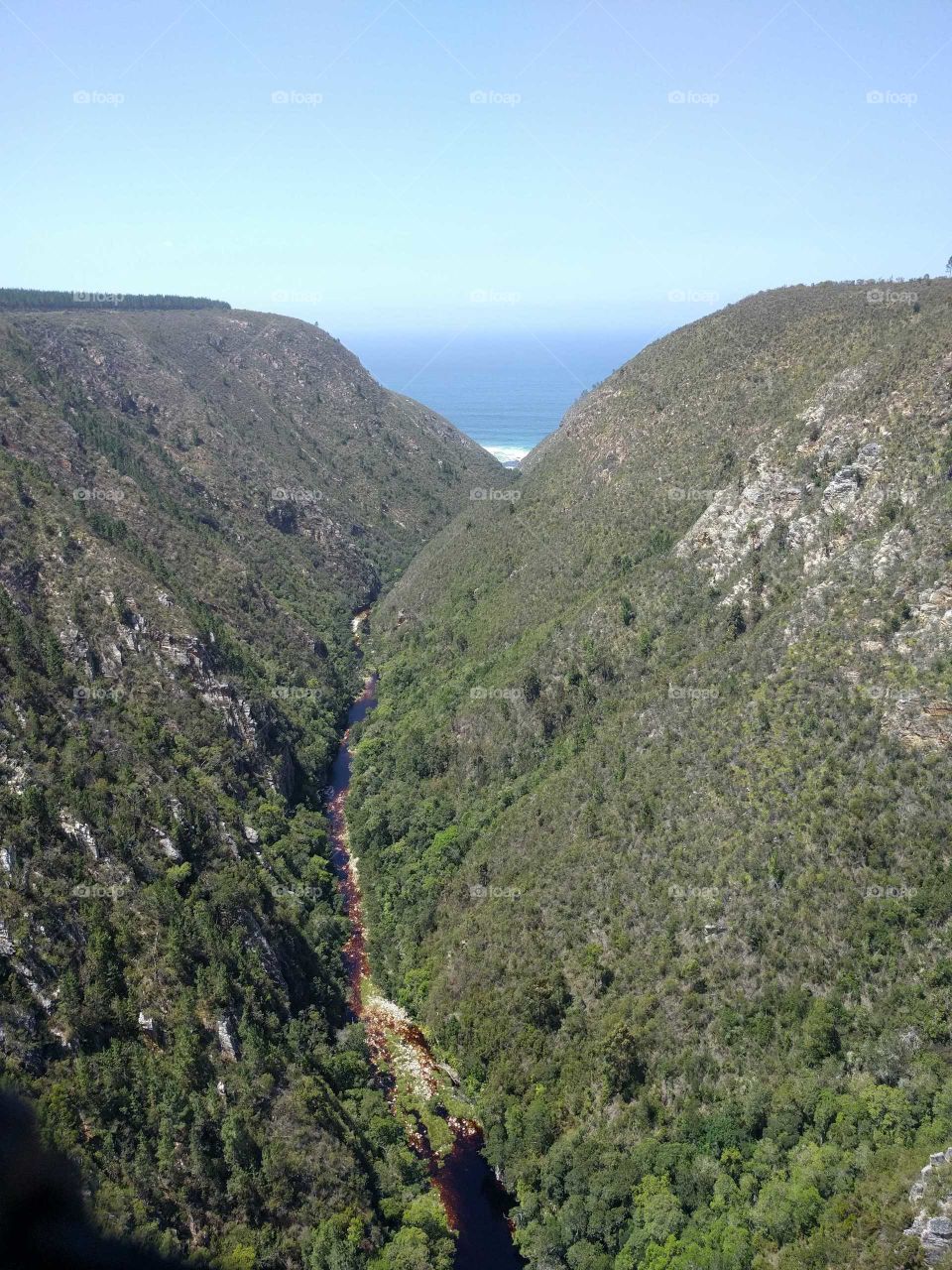 View from Bloukrans Bridge South Africa