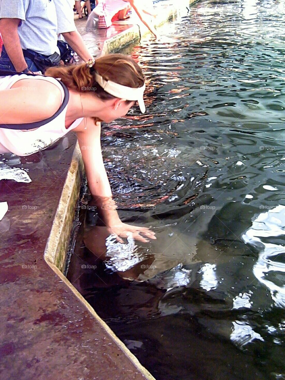 close encounter, petting a stingray