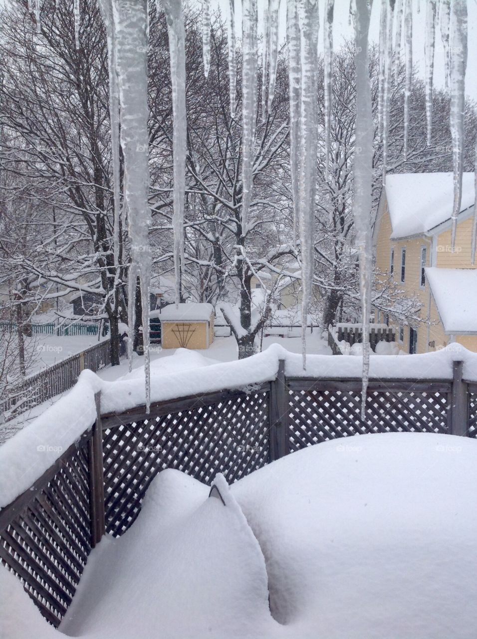 Icicles dangle in wintry backyard scene.