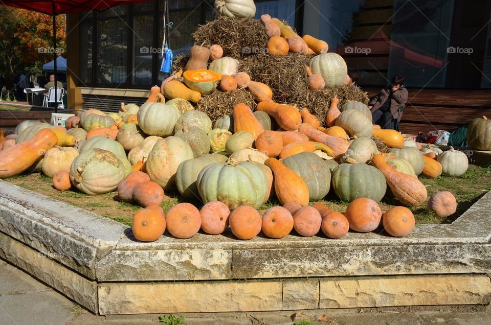 Pumpkins pile on hay stacks in street