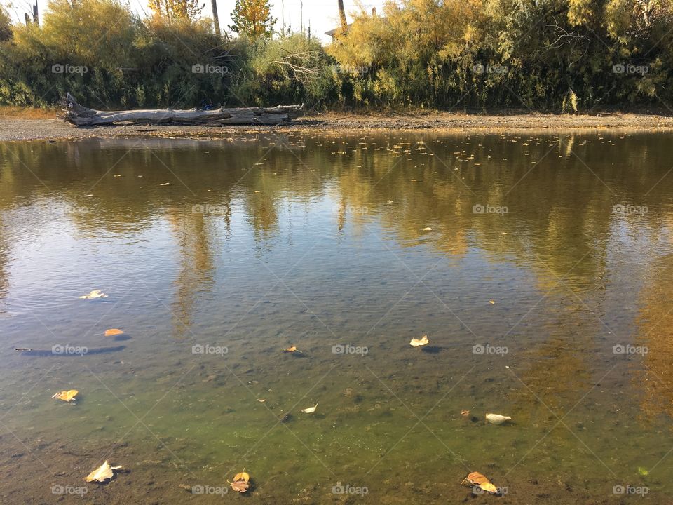 Beautiful reflection 