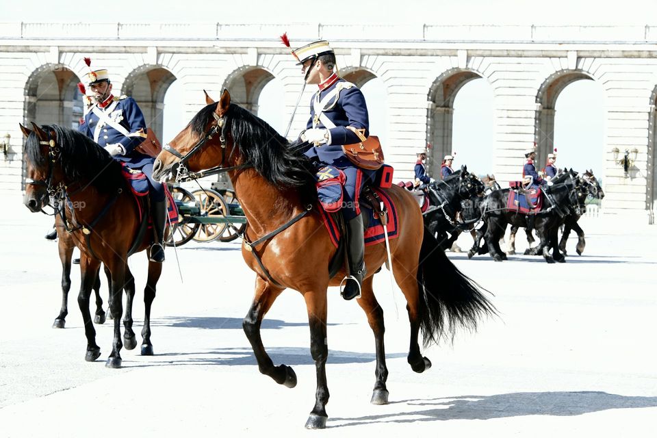 Cambio de guardia, Palacio Real 
Changing of the guard, Royal Palace