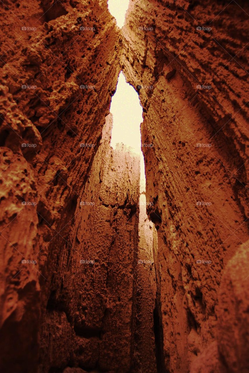 The wonders of nature