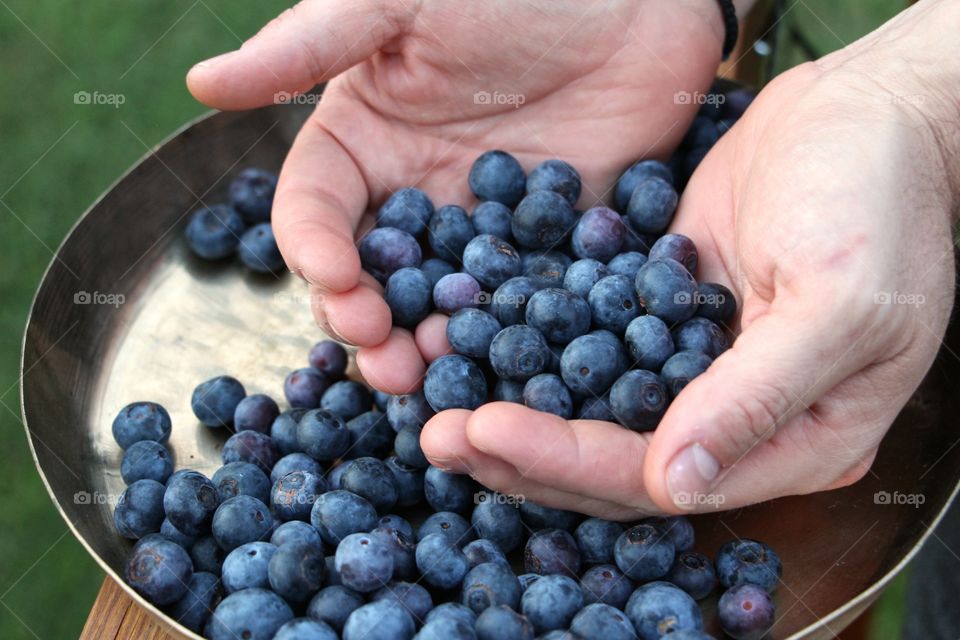 Hands full of berries 