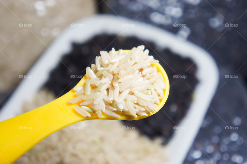 oganic rice, clean food for healthy