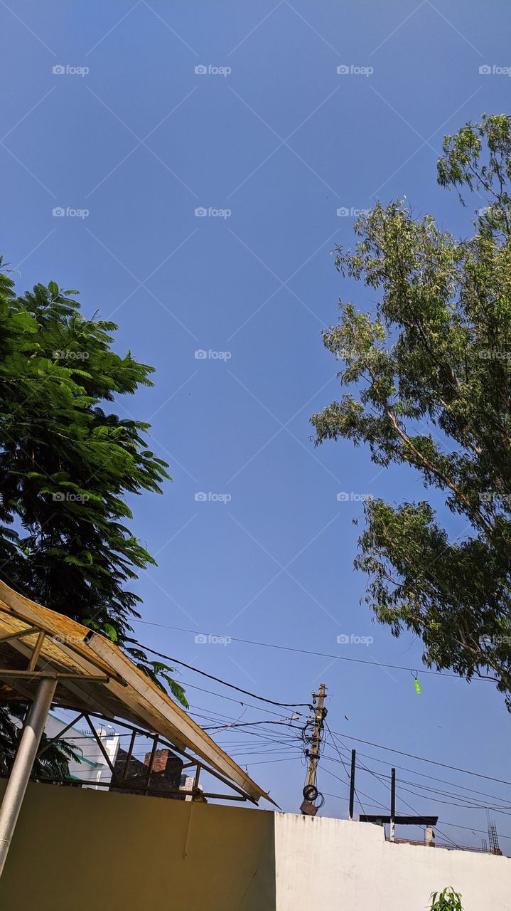 Finally a clear, cloudless blue sky, a common sight towards the end of September