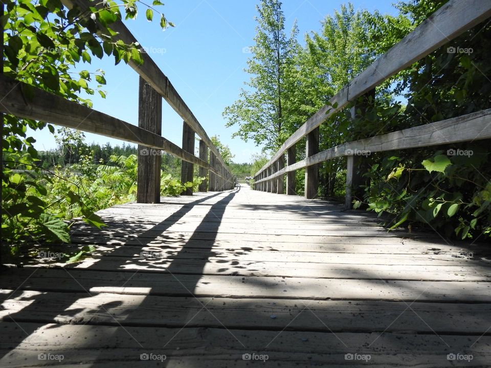 Wooden bridge at Mer Bleue