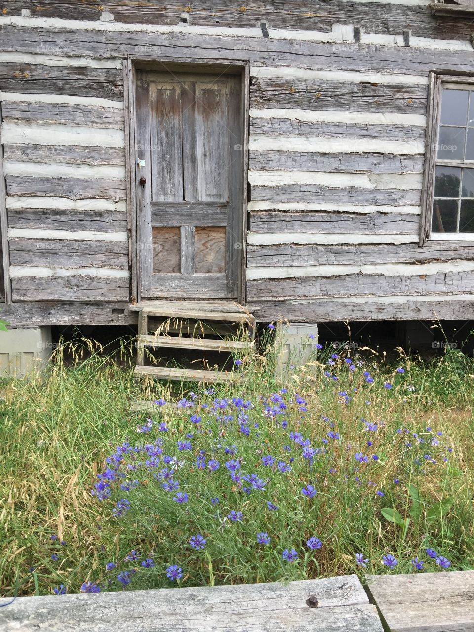 Log cabin