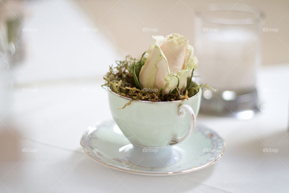 Rose in tea cup table decoration, white and cream.