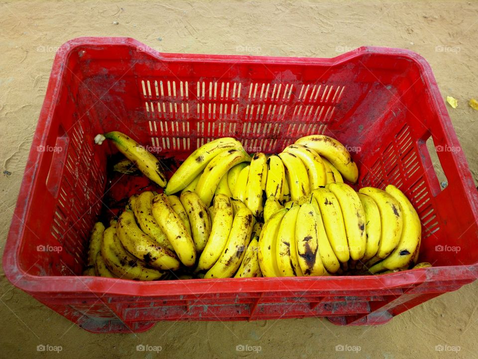 bananas in a carret