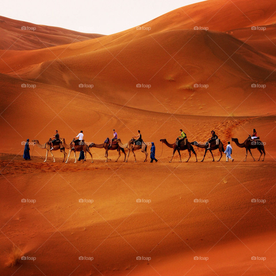people sand brown desert by hofit25