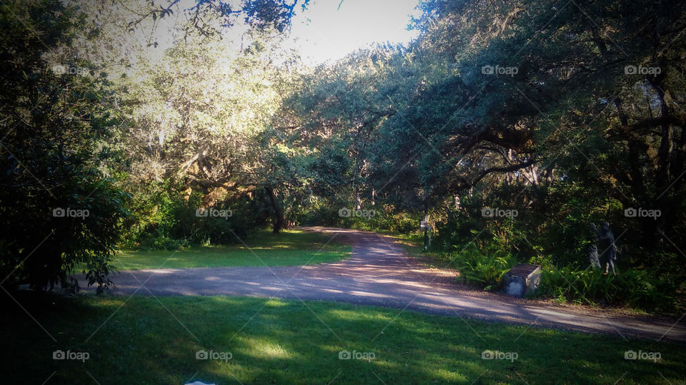 a shot of the park while enjoying a cool relaxing day.