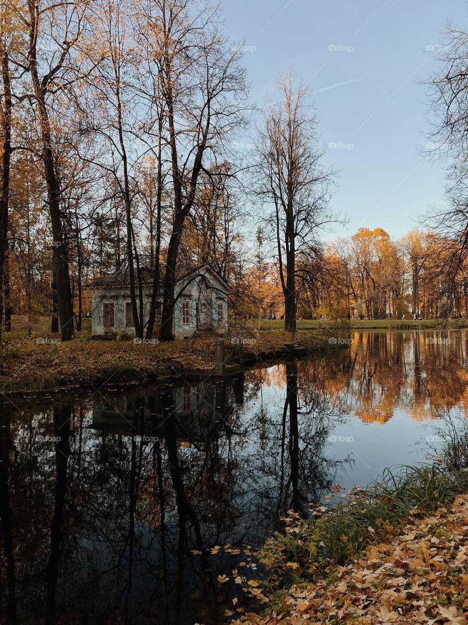 forest house on the shore of a lake in the middle of the forest, among autumn trees, among colorful leaves