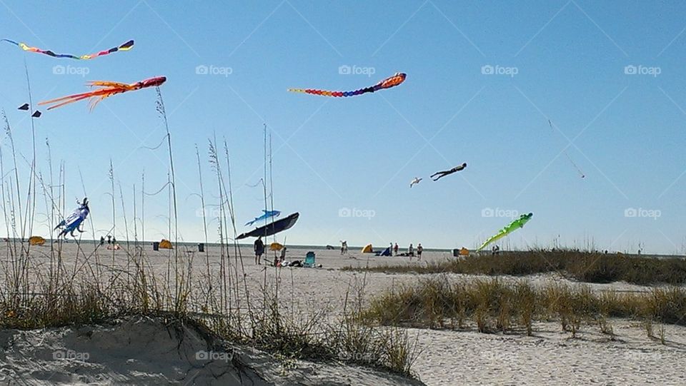 Kite day at Beach