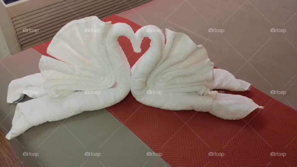 Swan Towel Art From A Cruise
