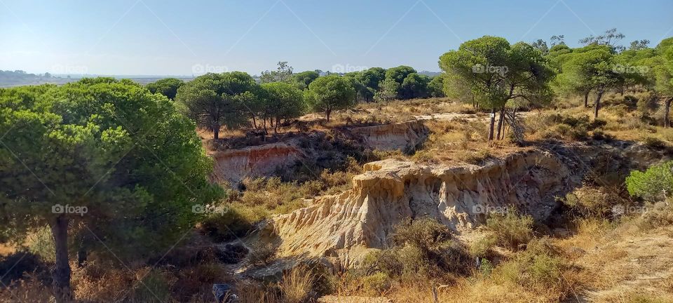 Paisaje Doñana