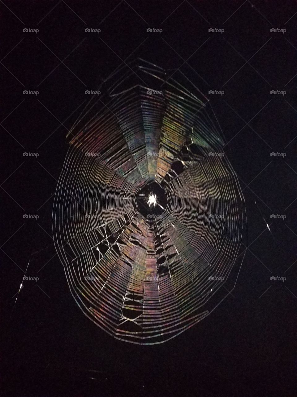web