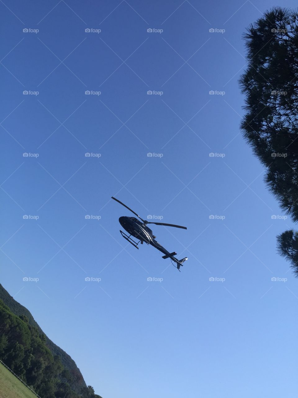 Sky, Aircraft, Airplane, Flight, No Person