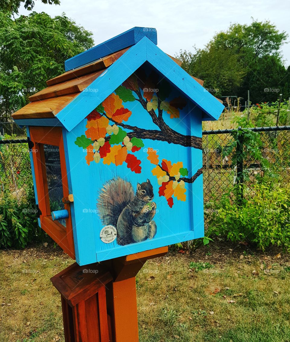 Birdhouse, Mailbox, House, Garden, Beehive