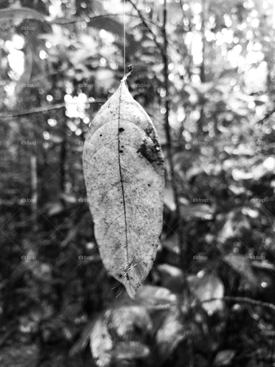 Life without giving up..