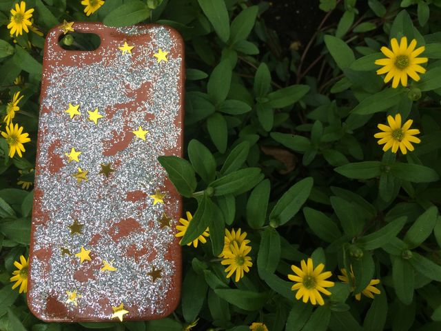 No Person, Flower, Nature, Summer, Garden