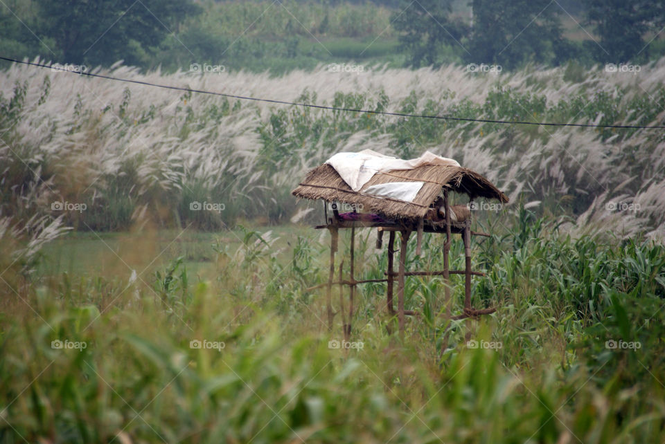 A romantic lookout post among the fields by the lake.