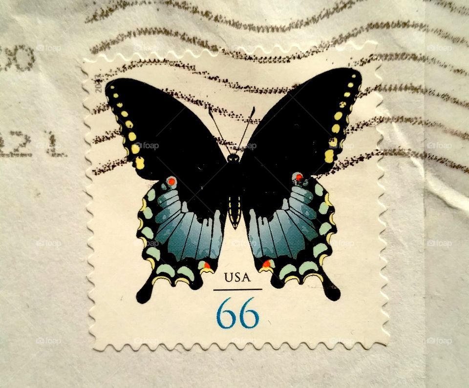 American butterfly stamp