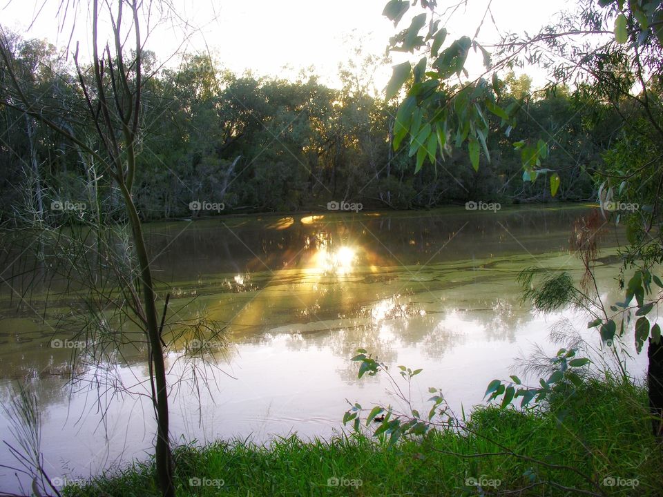 burdekin river reflections 1