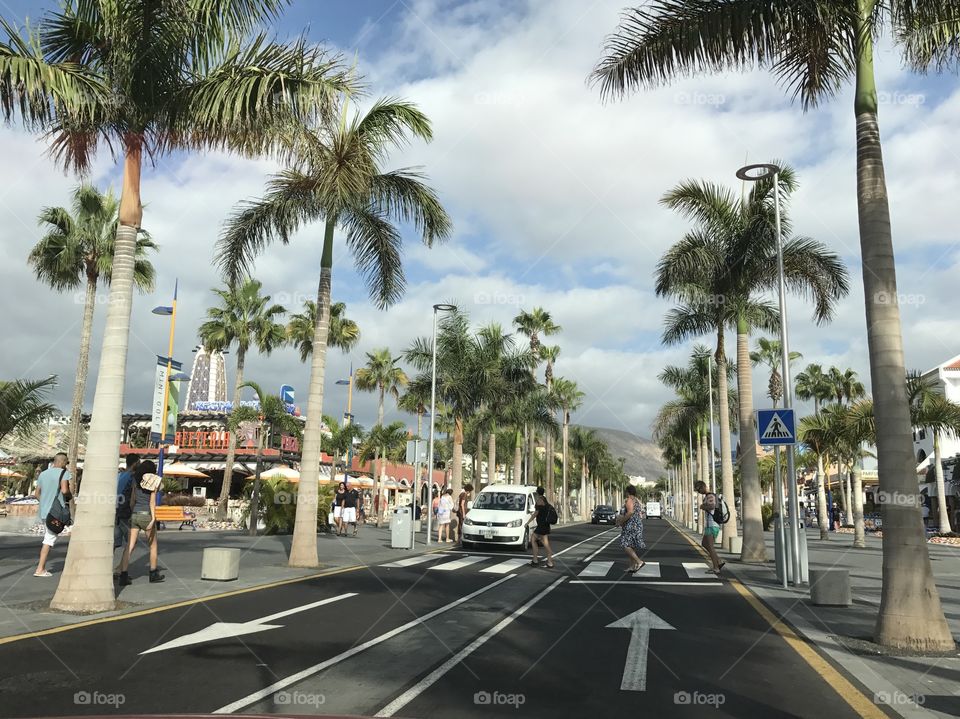 Discovering Tenerife 