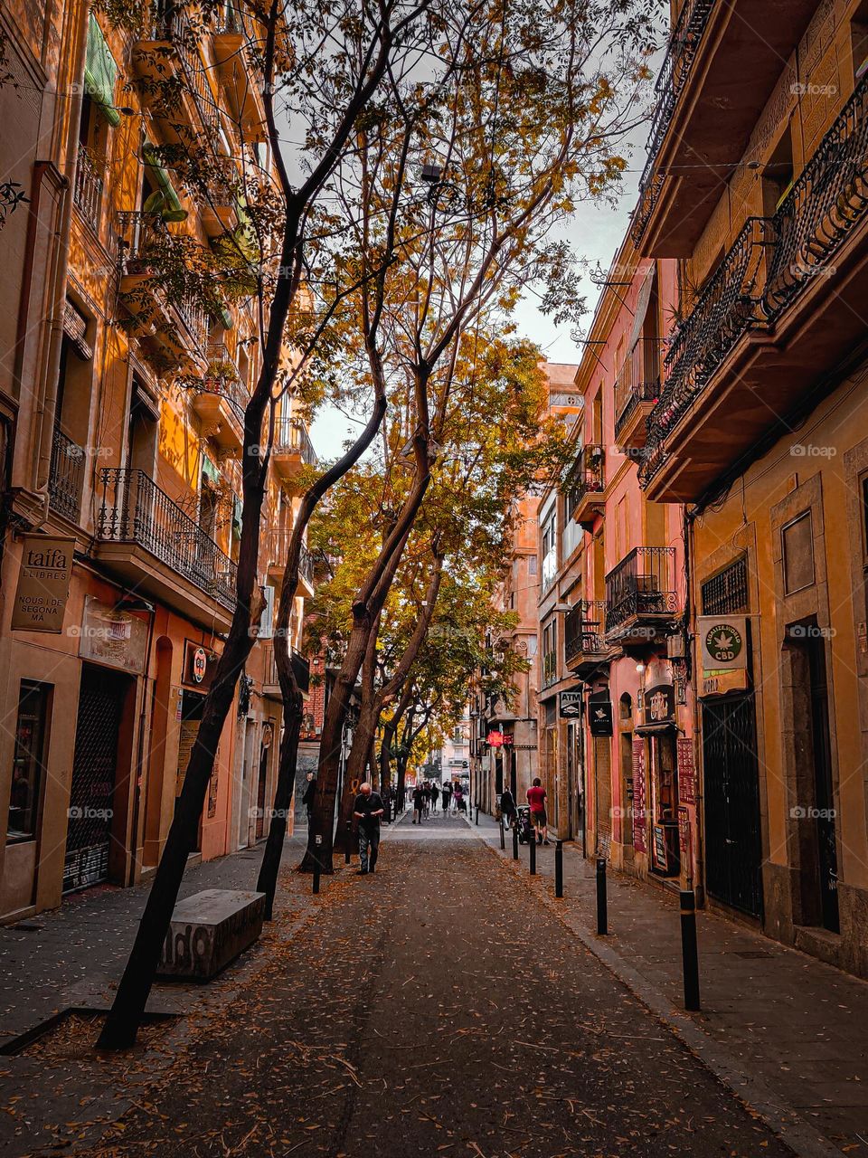 Street in Barcelona in the Fall