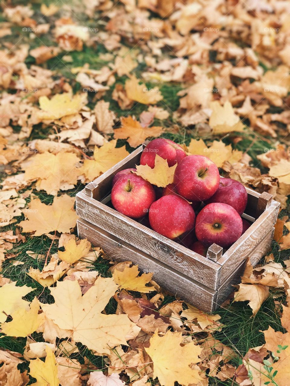 Wooden box with apples