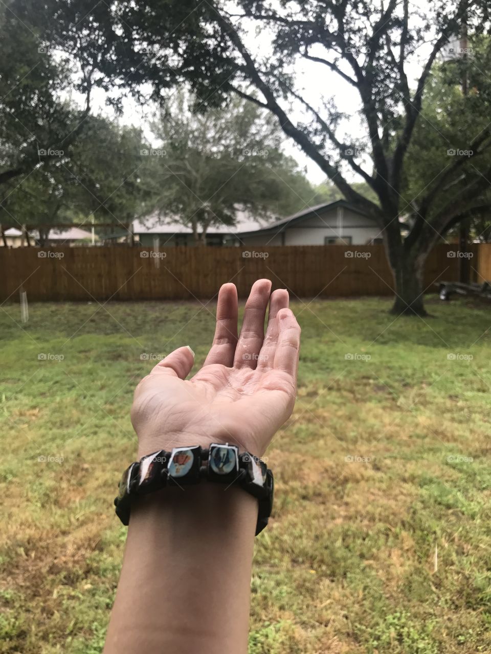 Touching the rain 
