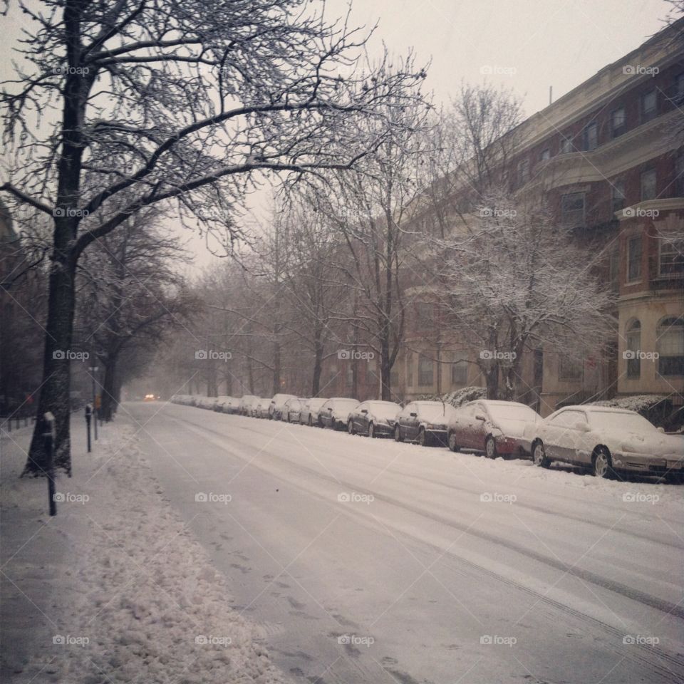 Winter in Boston 