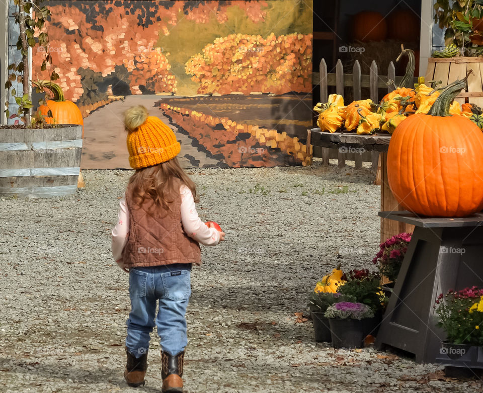 Little girl enjoying a pumpkin farm market