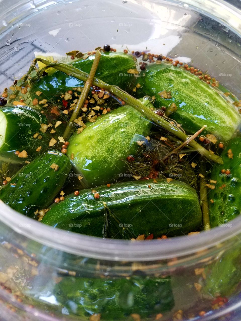 Inside jar of homemade dill cucumbers, spices floating around.