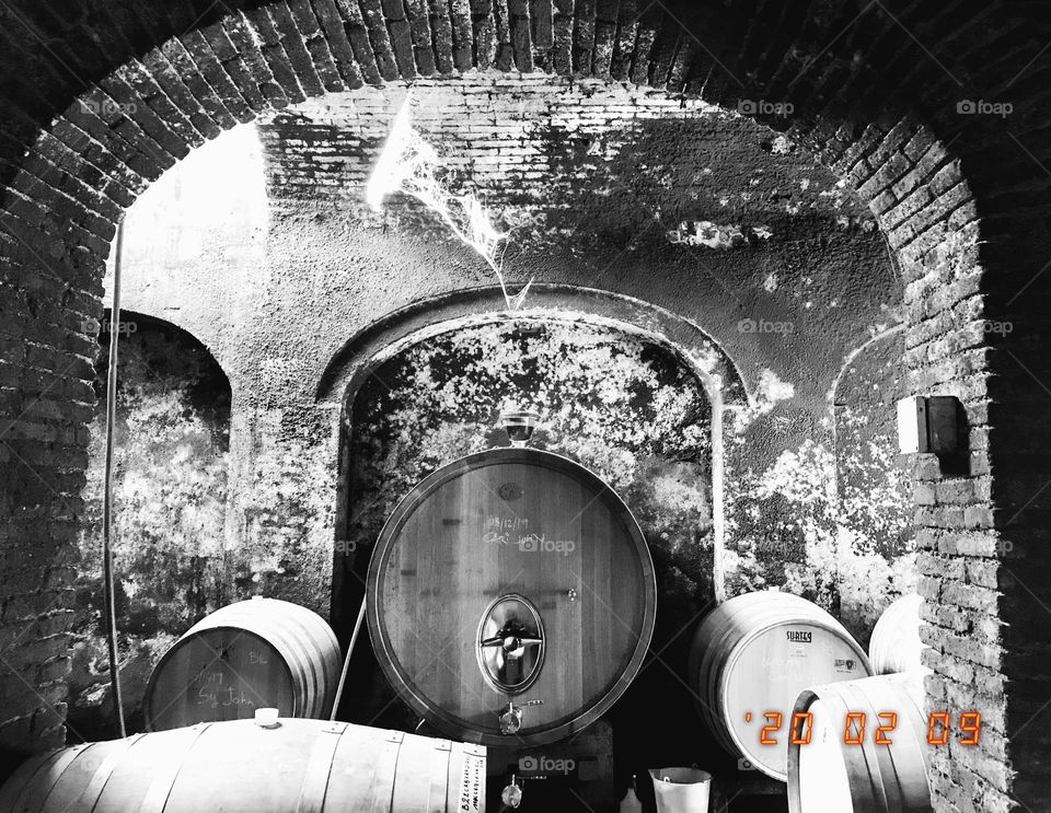 Wine cellar in Priorat, Spain. 