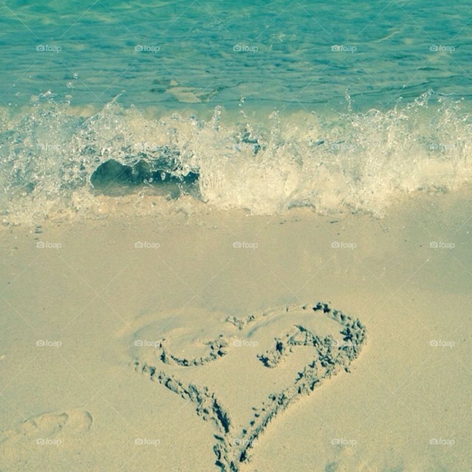 Love is in the sea 