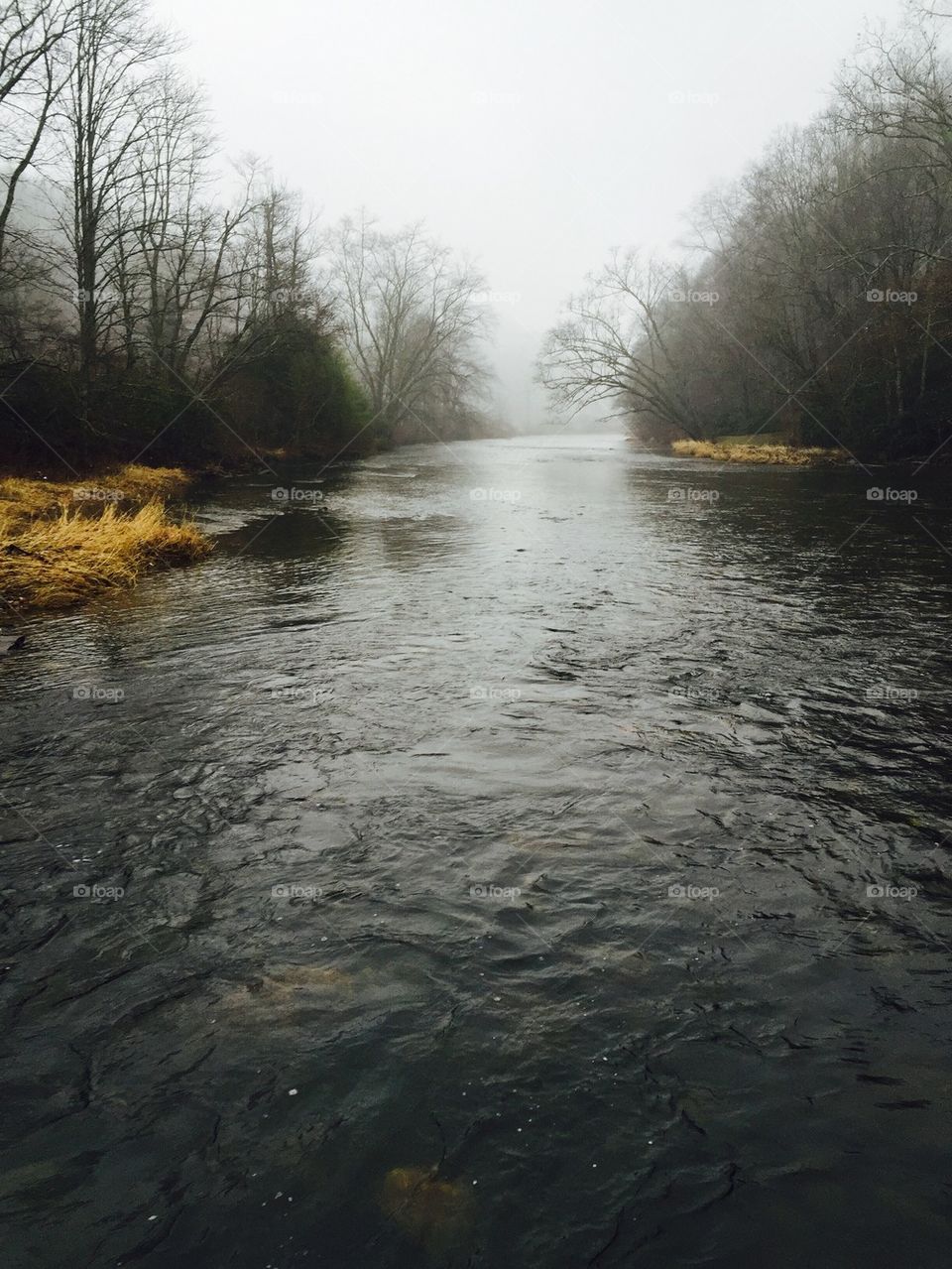 "Morning"

New River, NC