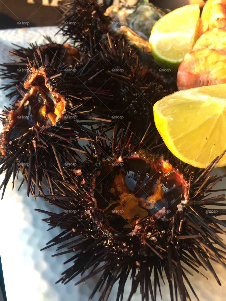 Sea urchins for dinner!