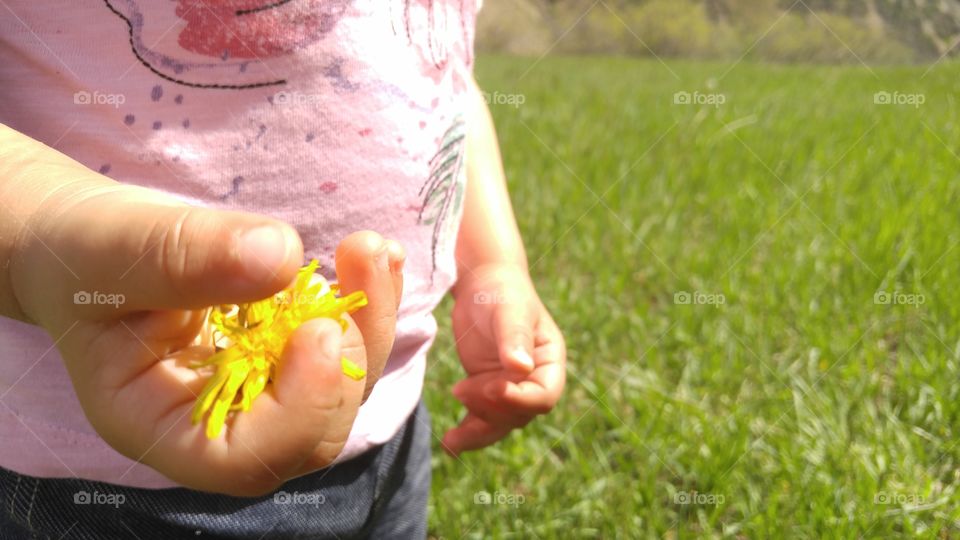 Little girl holding fragile flower