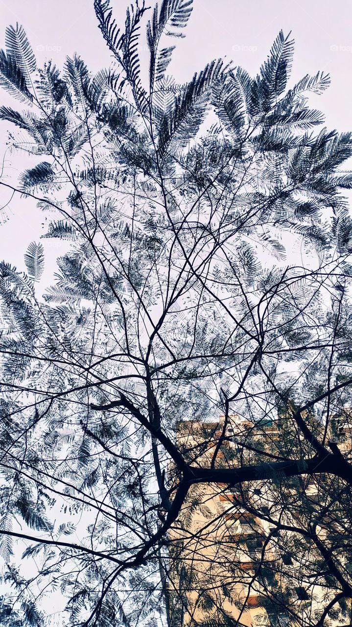 This photo can be a blissful wallpaper for your mobile. Nature and Concrete Nature both are in this ! 😄☺️