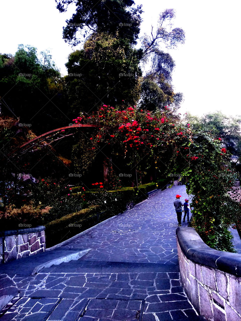 hermosa foto de un jardín con arco.